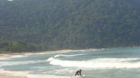 Corpo de turista que desapareceu no mar em Guarujá é encontrado e reconhecido pelo avô - Imagem: reprodução Prefeitura de Guarujá