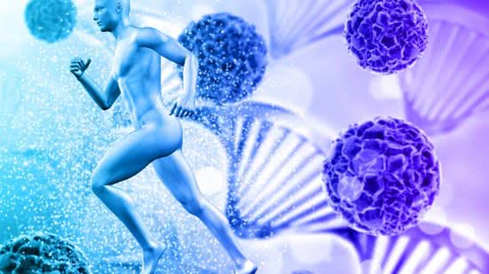 Simpósio destacará a importância da Atenção Primária à Saúde (APS) no enfrentamento das DCNTs - Imagem: Freepik